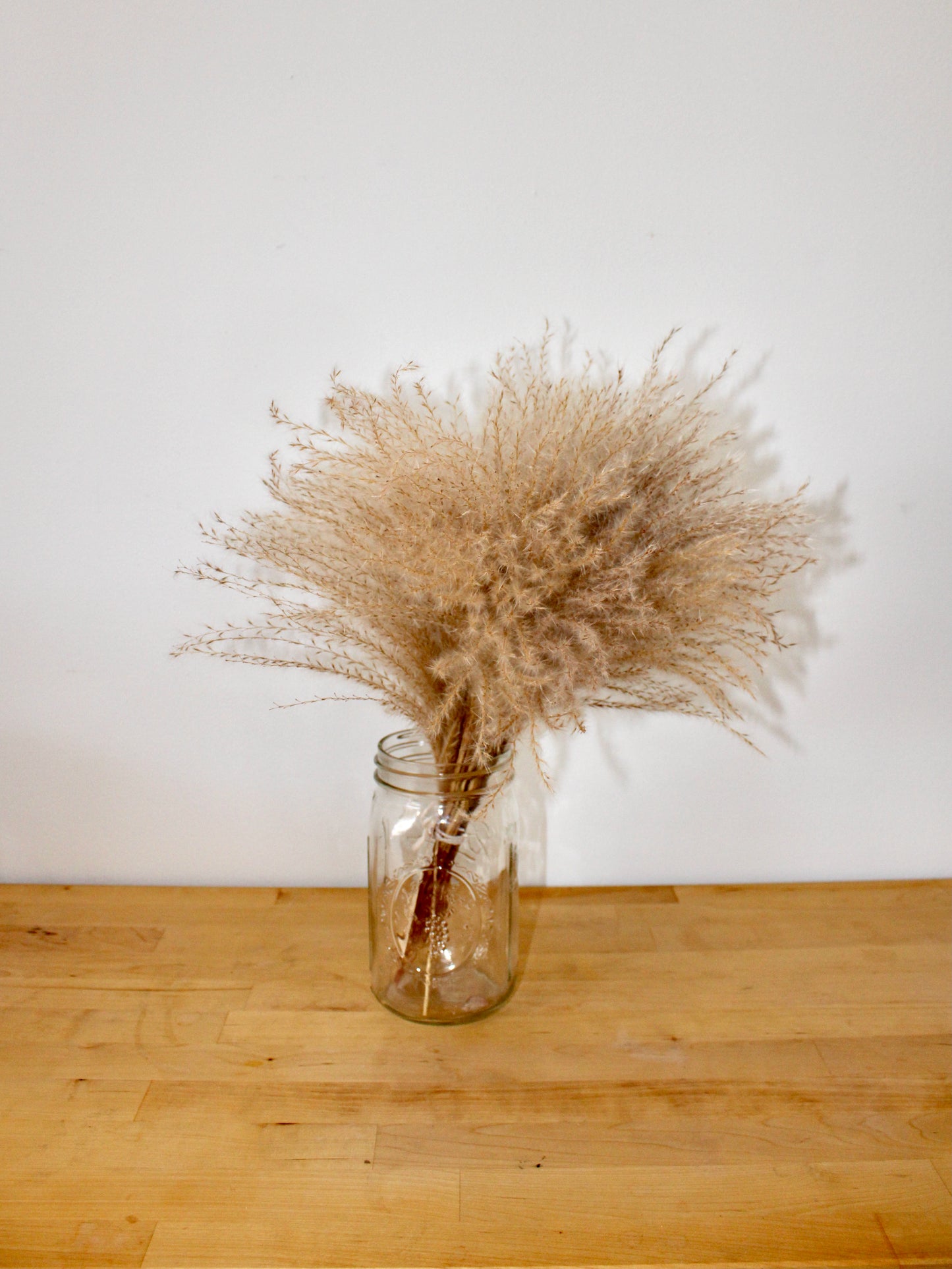 Dried Pampas Grass