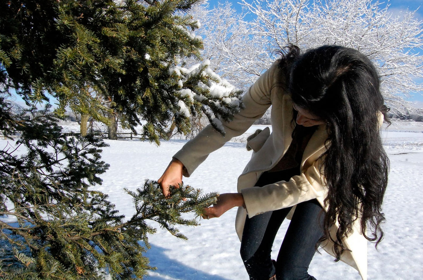 Balsam Fir Deodorant