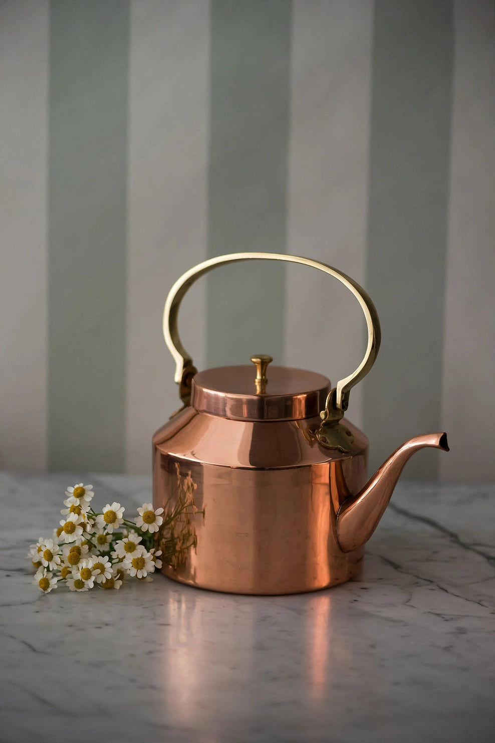 Cooper Tea Kettle