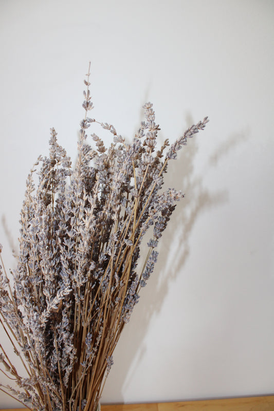 Dried Lavender