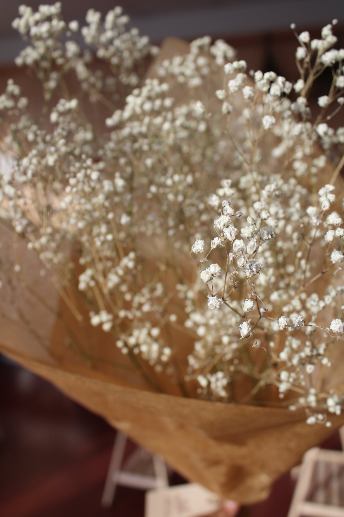 Dried Gypsophila / Baby's Breath