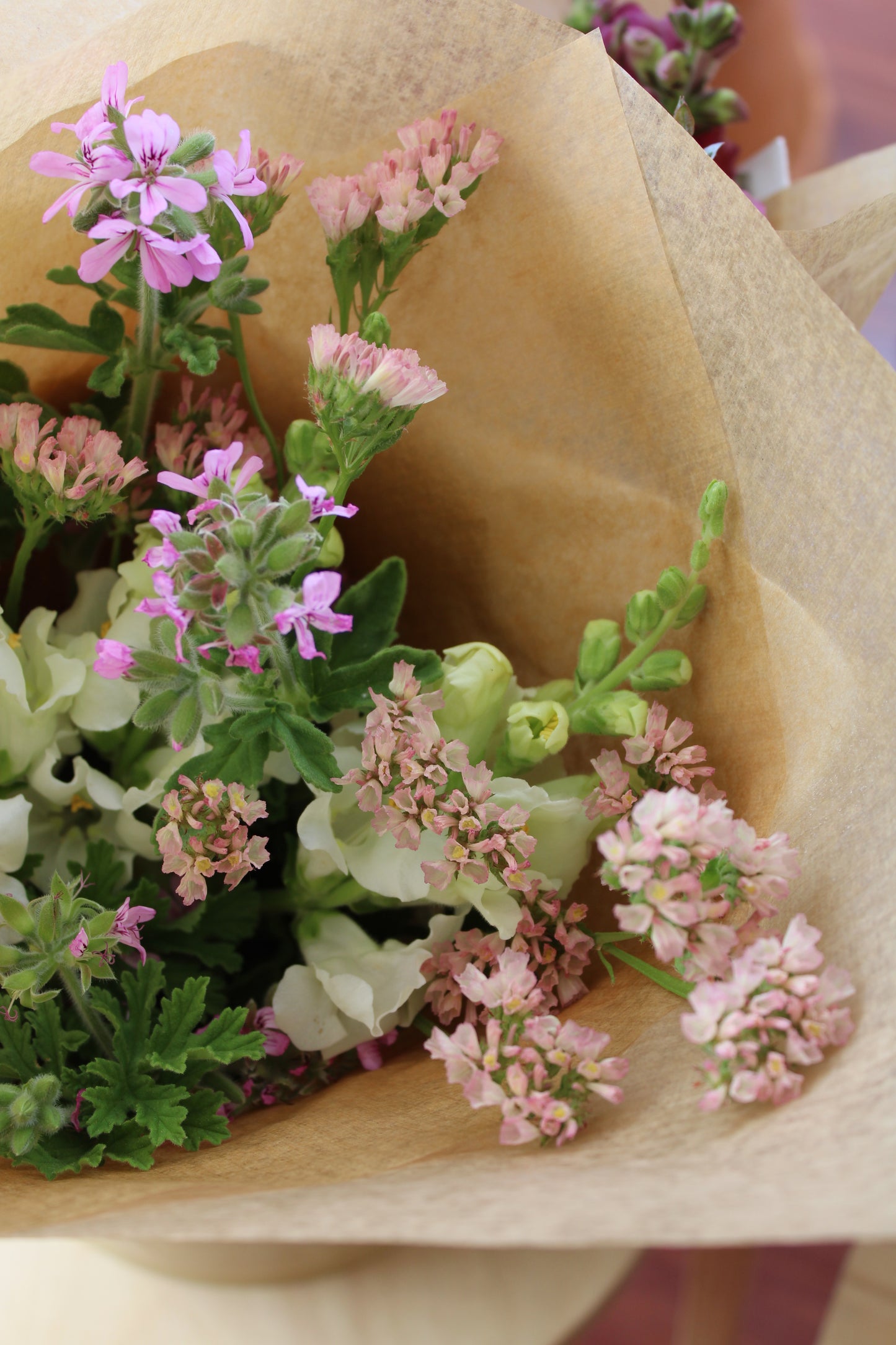 Pots and Petals Mother's Day Flowers