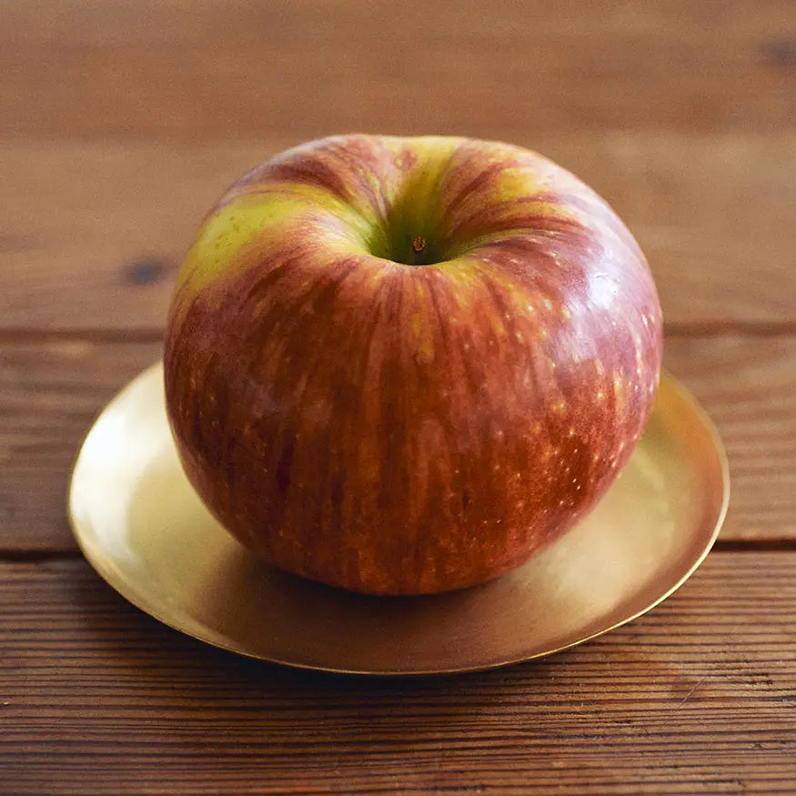 Brass Small Round Plate